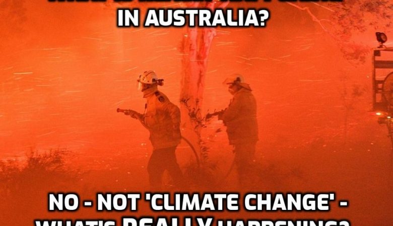 Scientists Pressured To Say 'everything Is A Cause Of Climate Change'