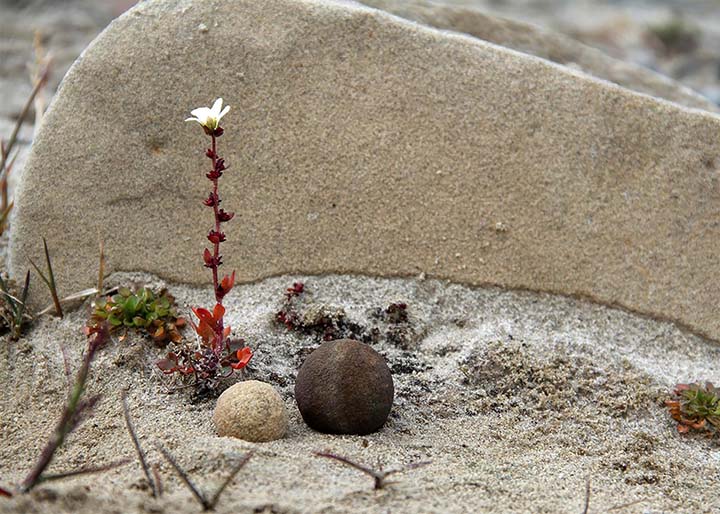 Huge Stone Spheres Discovered on Arctic Deserted Island Inside_flower