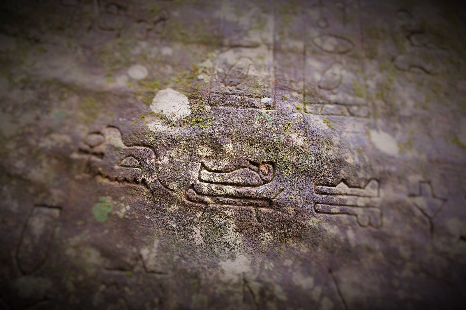 These Are The Gosford Glyphs.