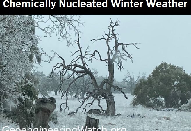 klimatekniske operasjoner i texas 'intet mindre enn vinterværskrig'