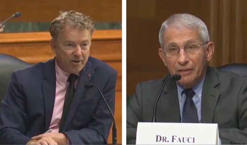 Senator Rand Paul 'Dr.  Fauci könnte für die gesamte Pandemie verantwortlich sein '