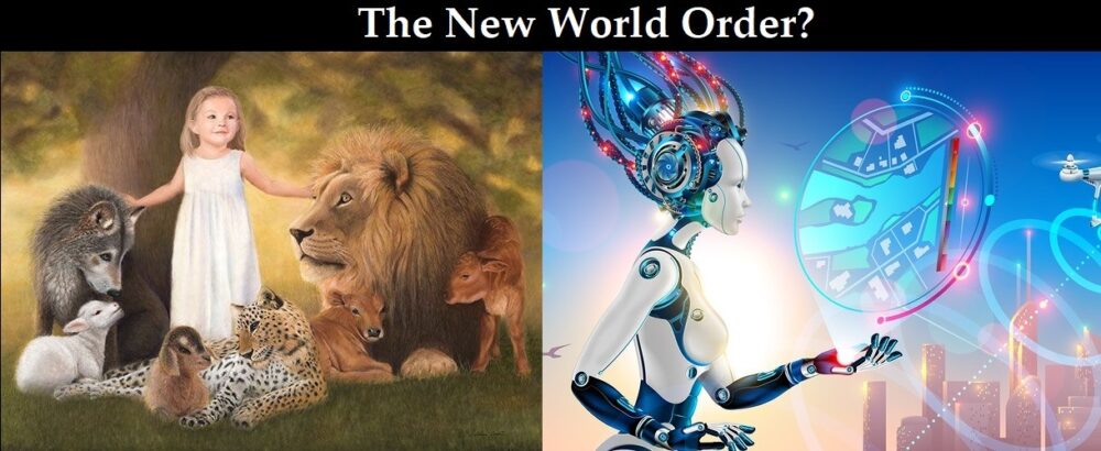 the most important truth about the coming new world order almost nobody is discussing