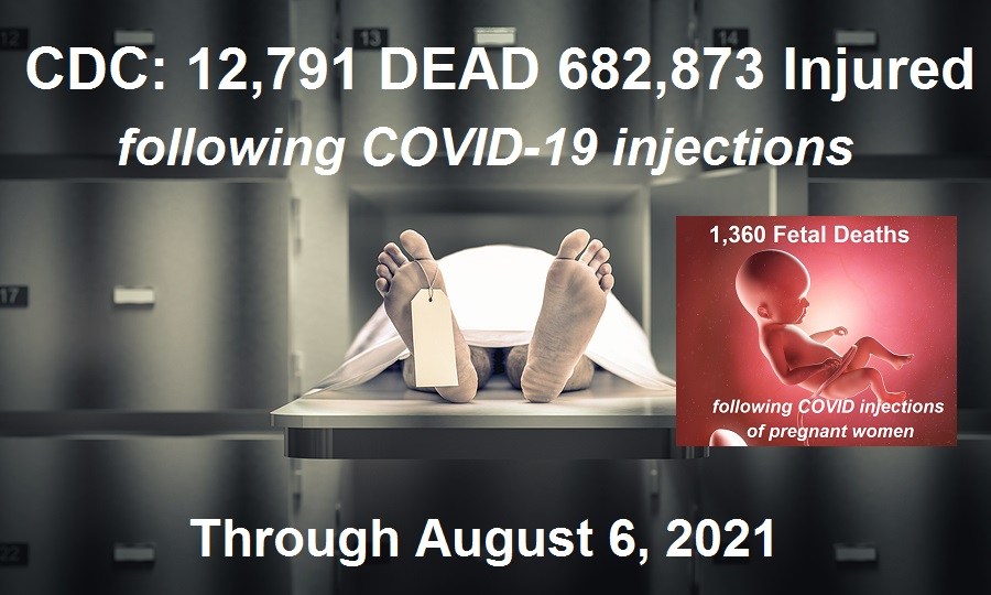 cdc 12,791 dead and 682,873 injuries following covid 19 experimental shots